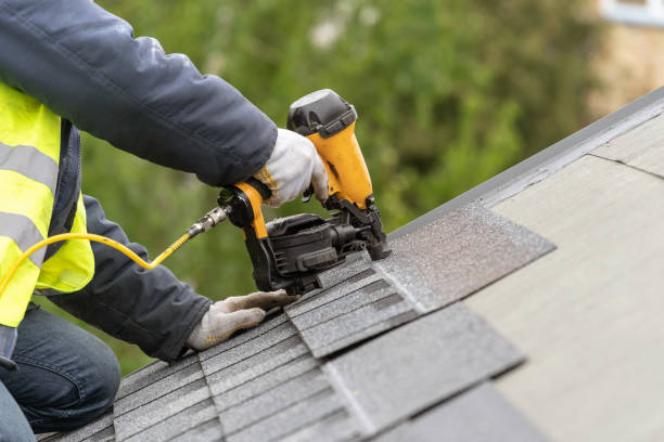 Best 4 Ply Roofing  in Rio Rico, AZ