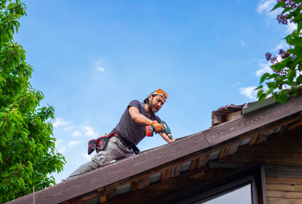 Best Gutter Installation and Repair  in Rio Rico, AZ