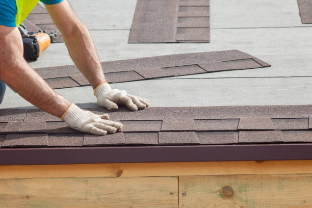 Best Green or Eco-Friendly Roofing Solutions  in Rio Rico, AZ